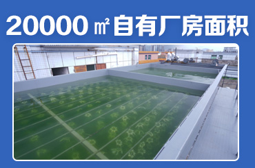 高效石油廢水處理設(shè)備解決方案 - 百惠浦環(huán)保助力企業(yè)綠色生產(chǎn)